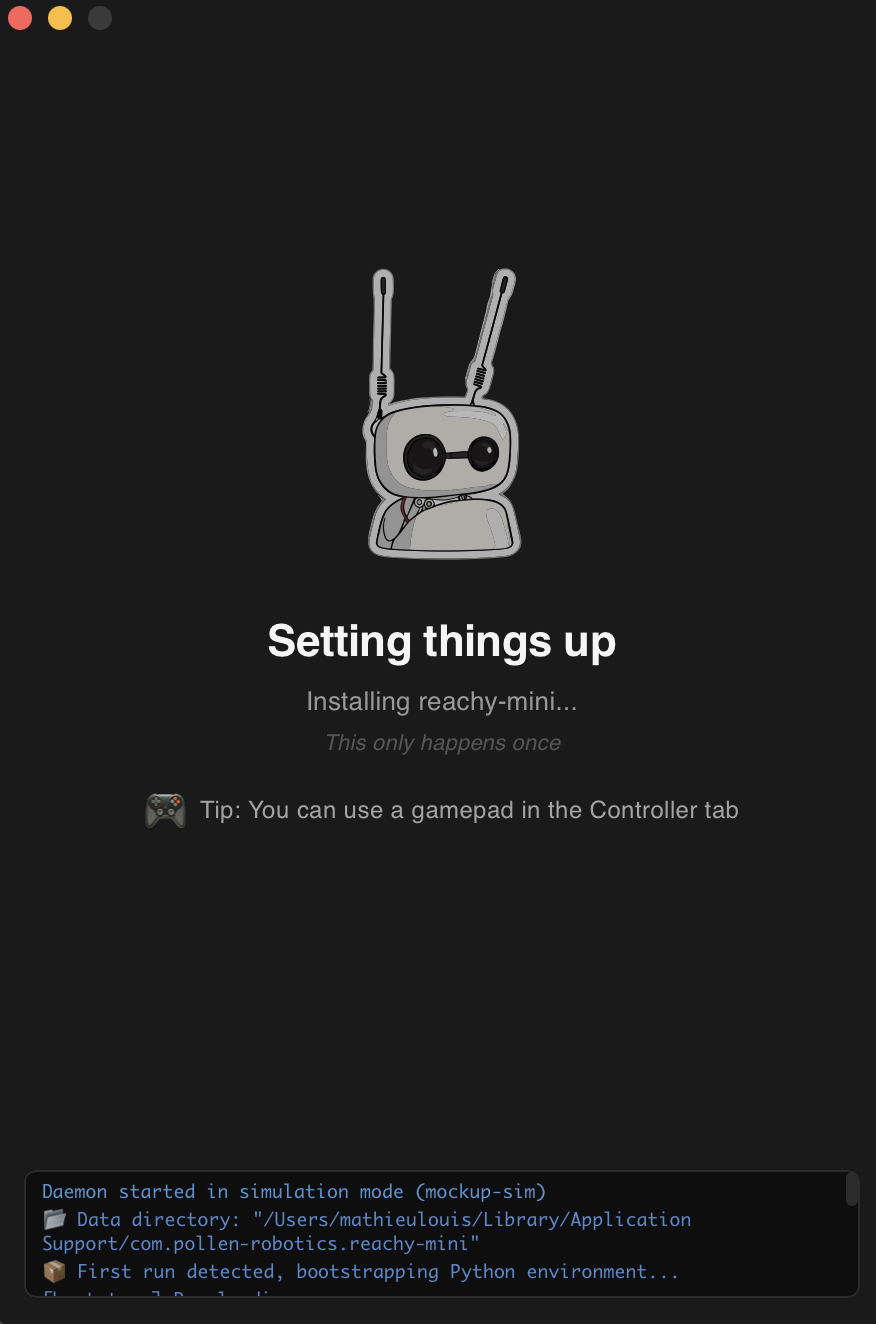 Starting the simulation